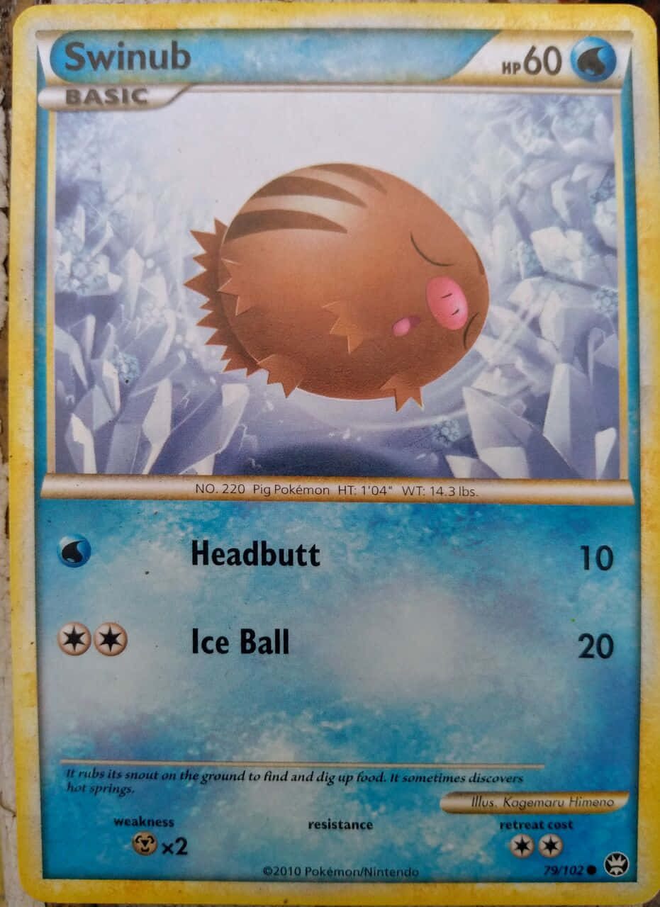 Swinub 2010 Card