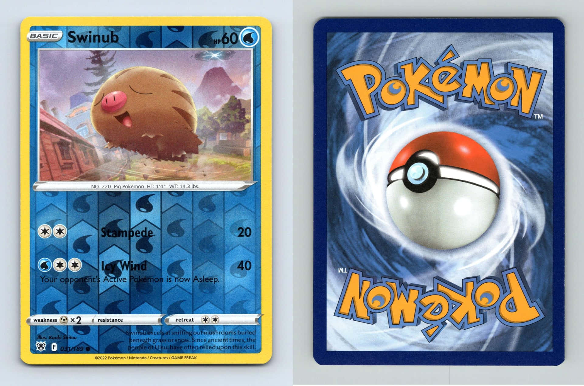 Swinub Back And Front Card Background