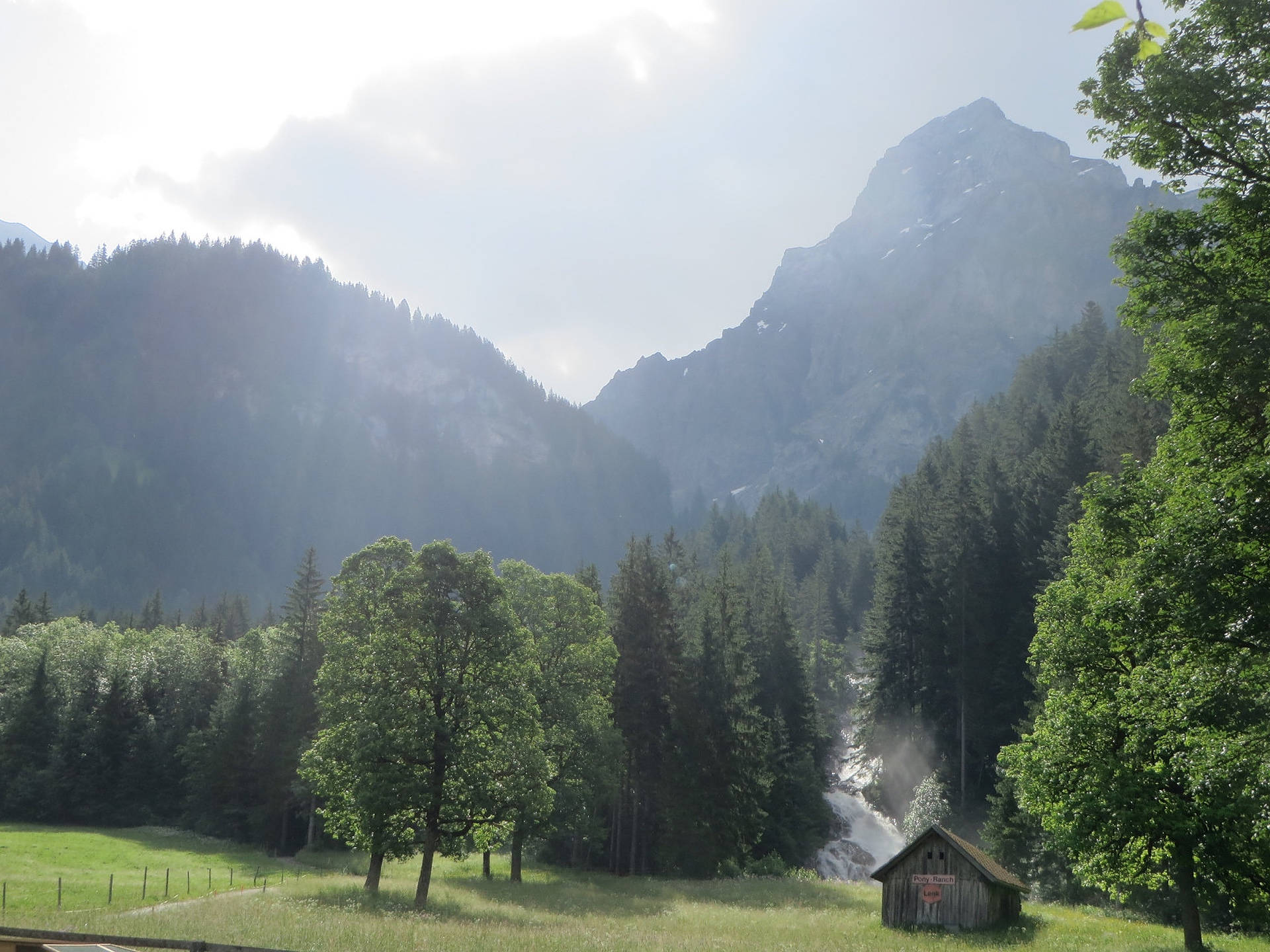 Swiss Alps Green Forest Background