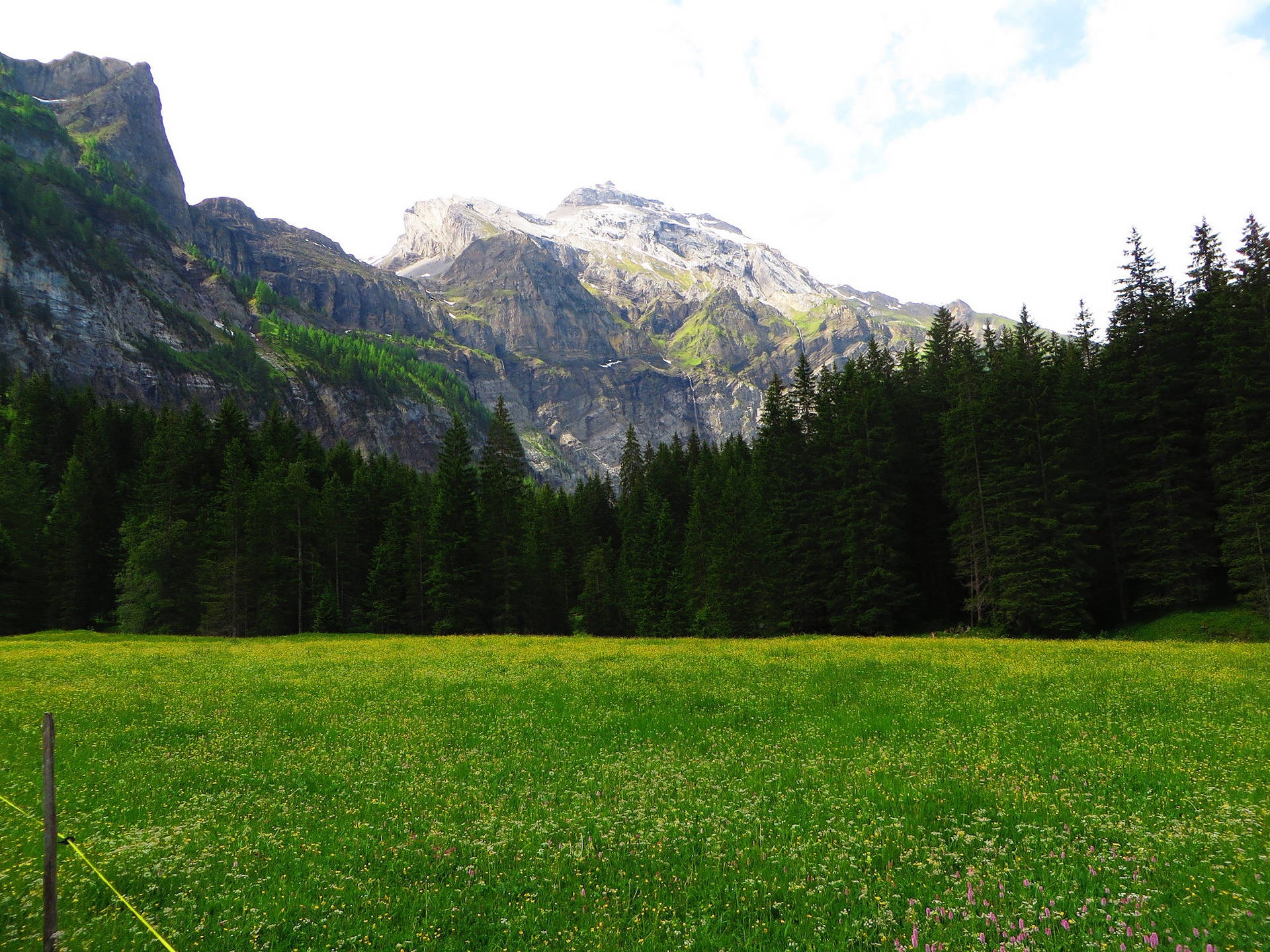 Swiss Alps Green Meadow Background
