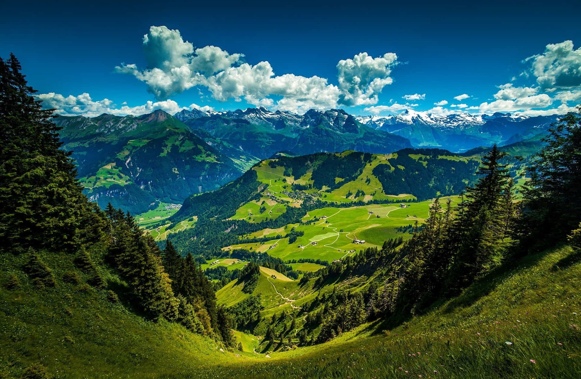 Swiss Alps Green Mountain Landscape Background