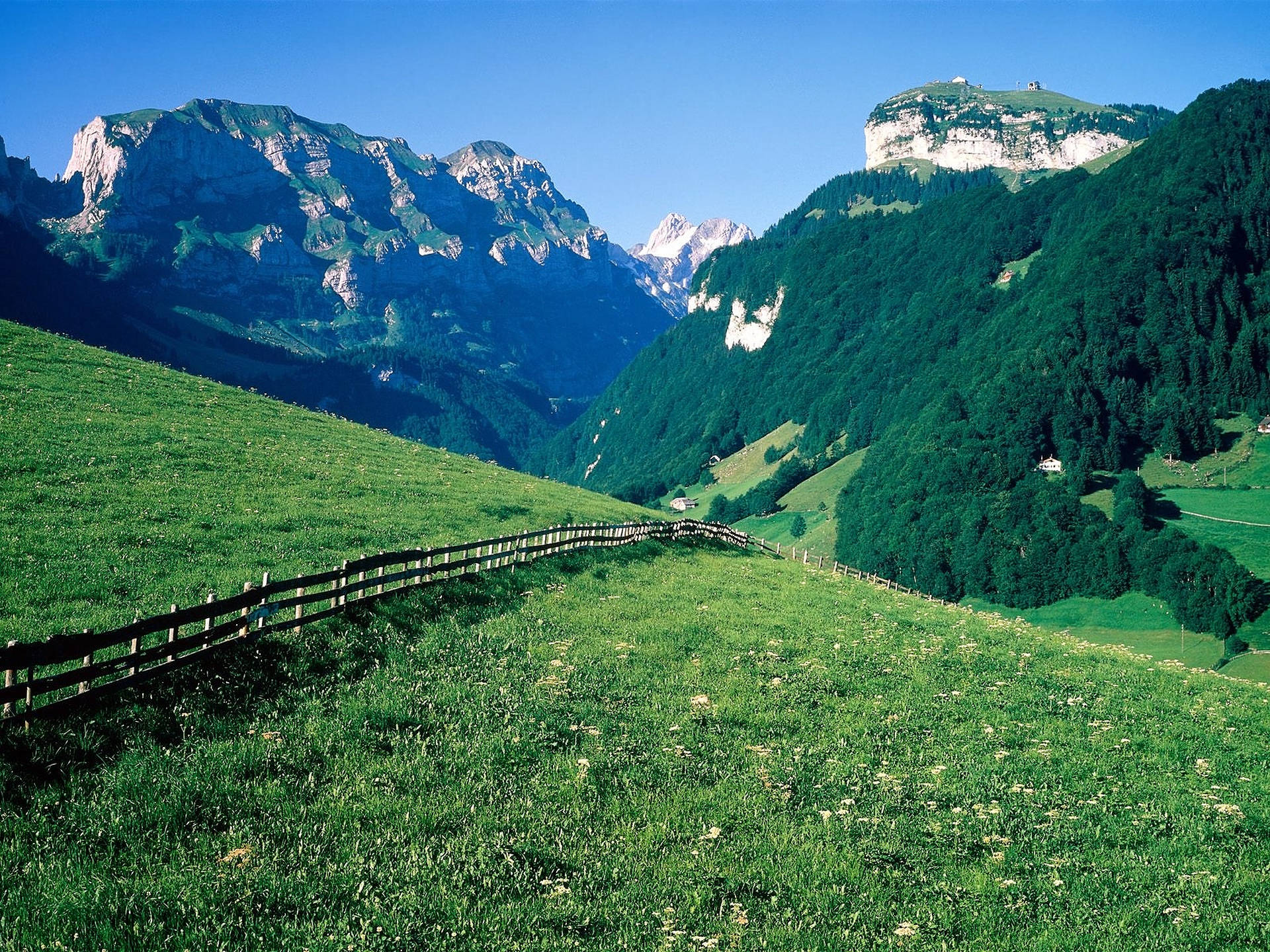 Swiss Alps On Film