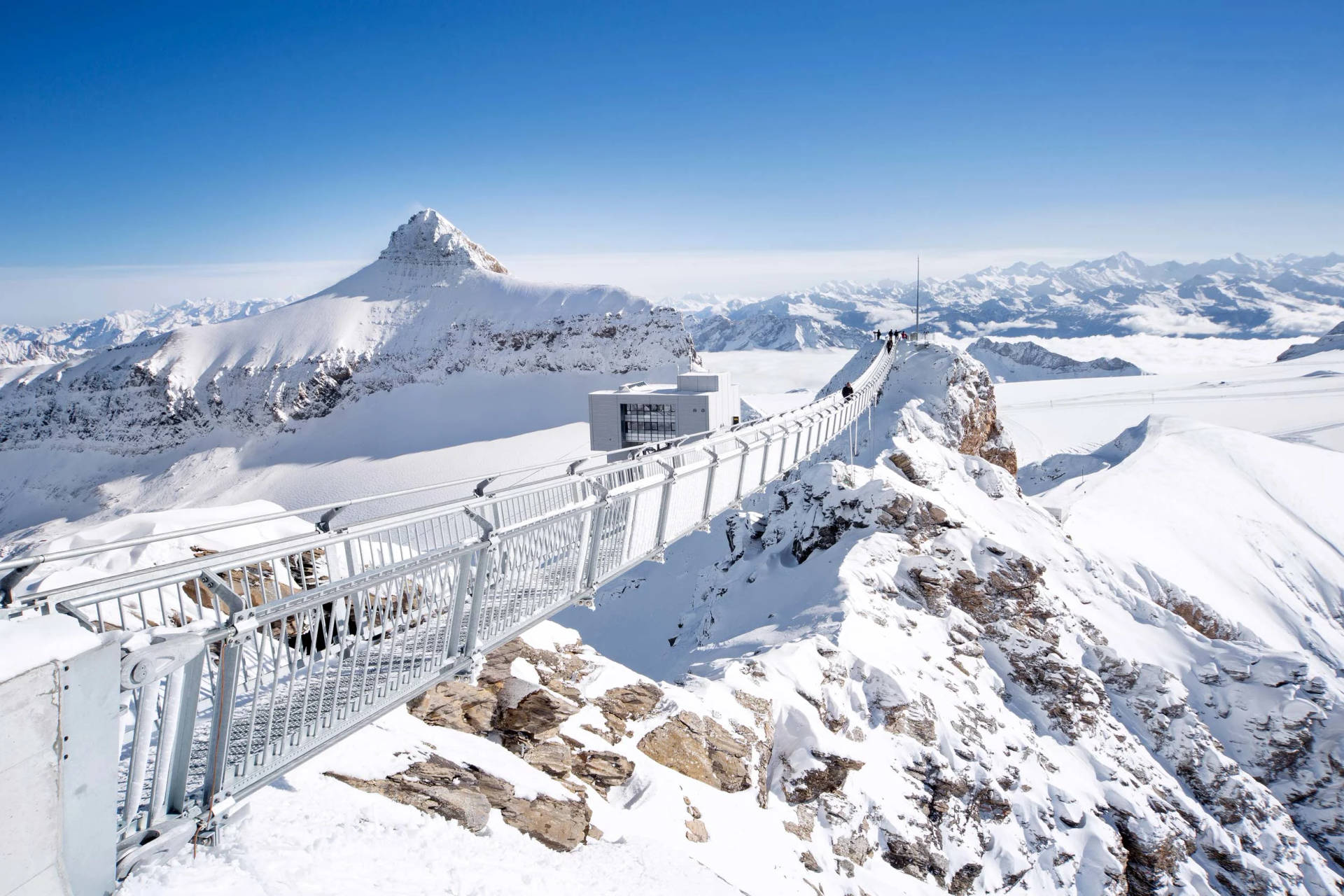 Swiss Alps Suspension Bridge Background