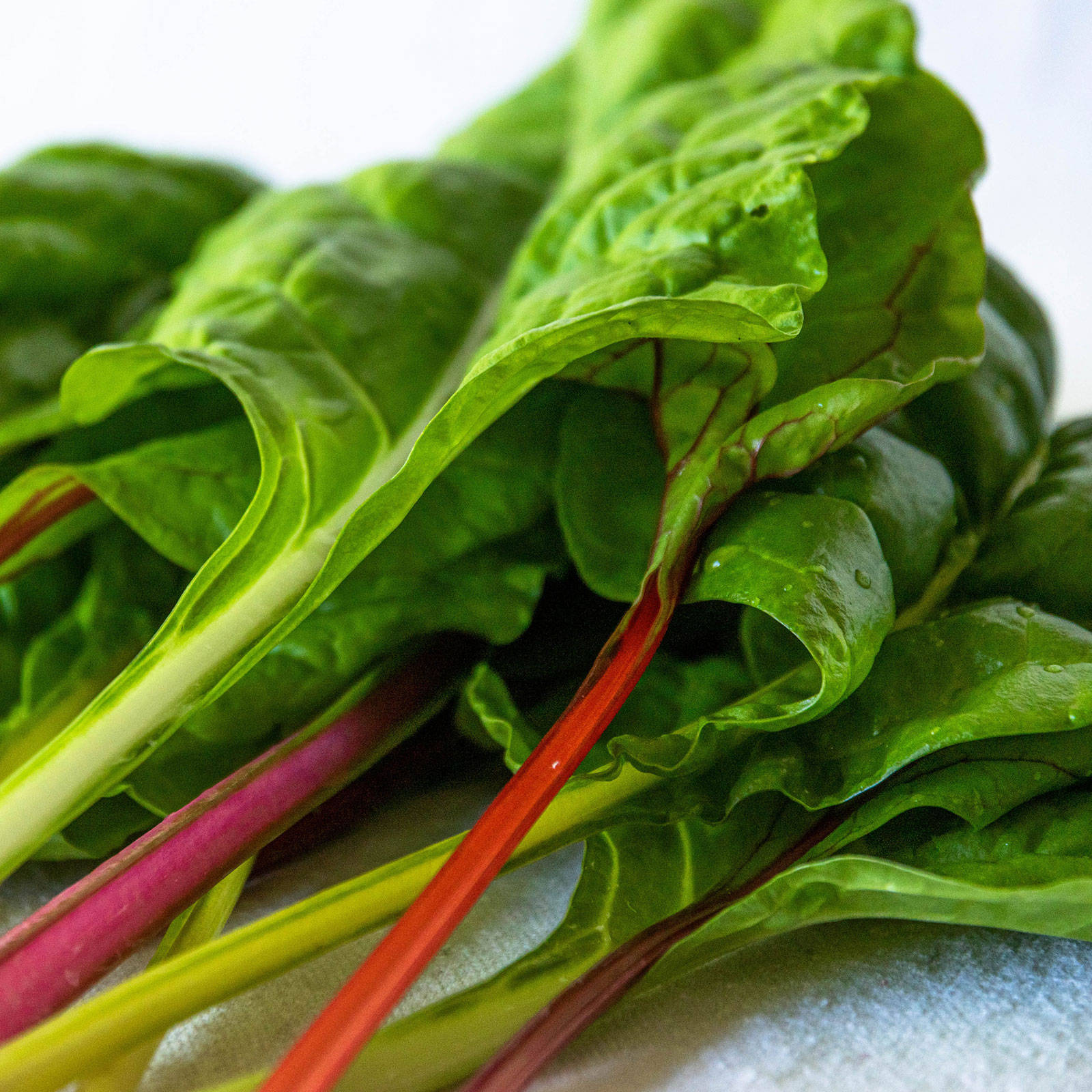 Swiss Chard Vegetables On Canvas Cloth