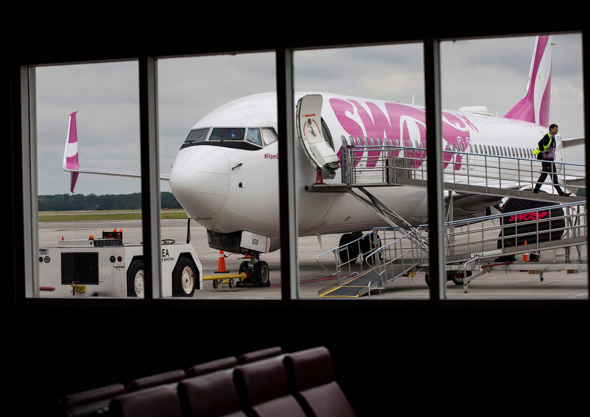 Swoop Airlines At The Airport Background