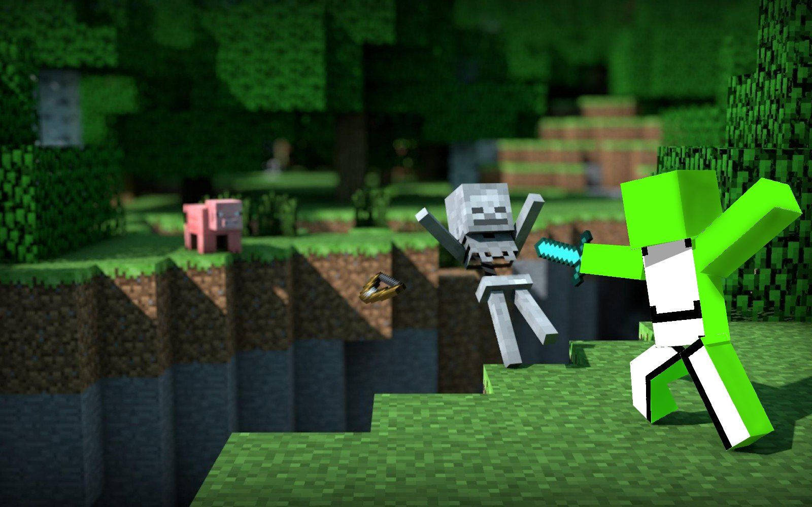 Swordsman Dream Minecraft