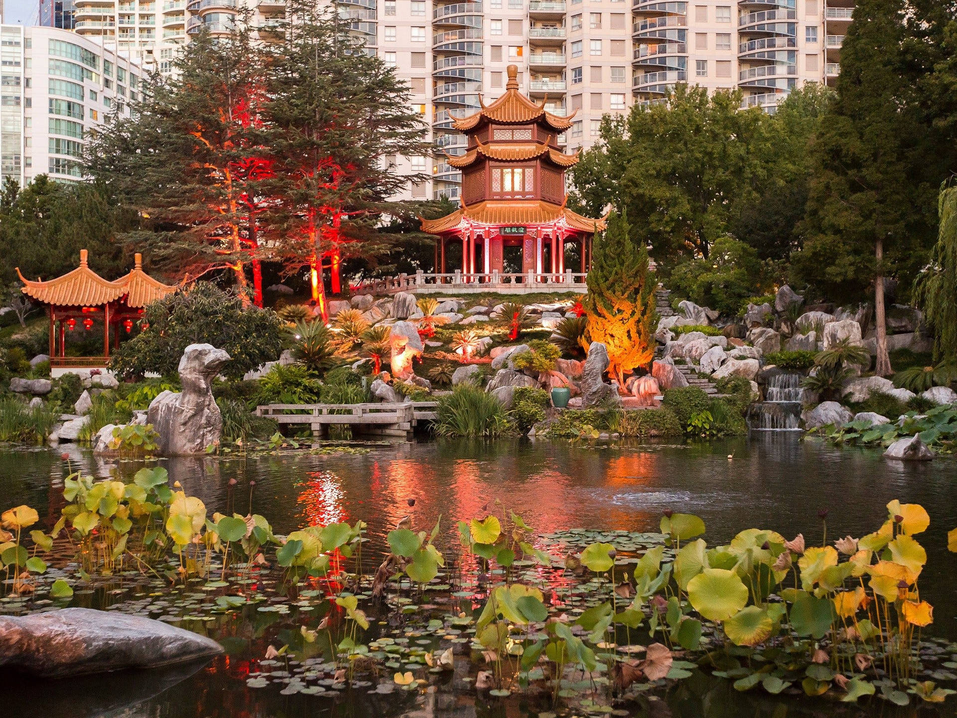 Sydney Chinese Garden Of Friendship Background