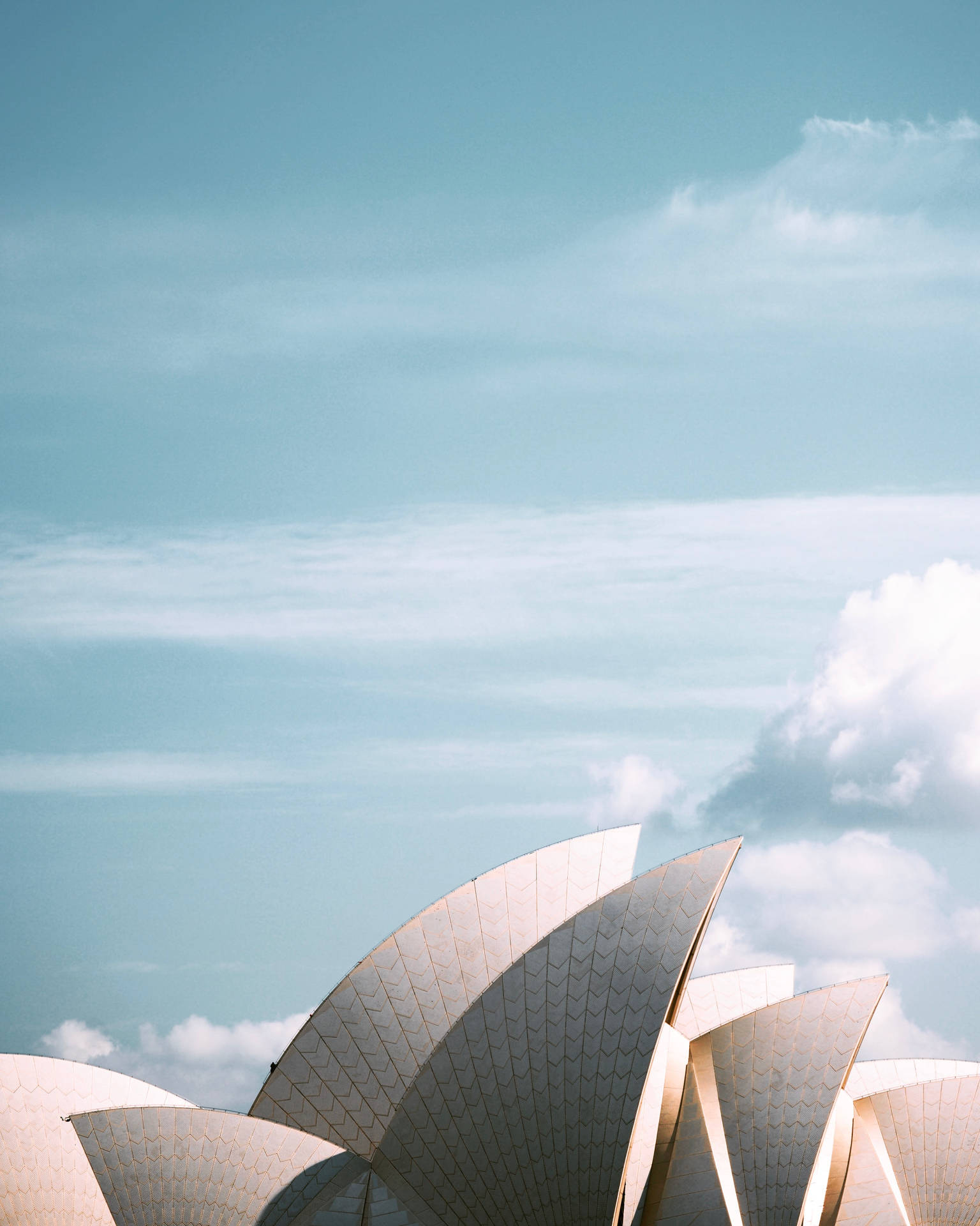 Sydney Opera Roof Of Australia Background