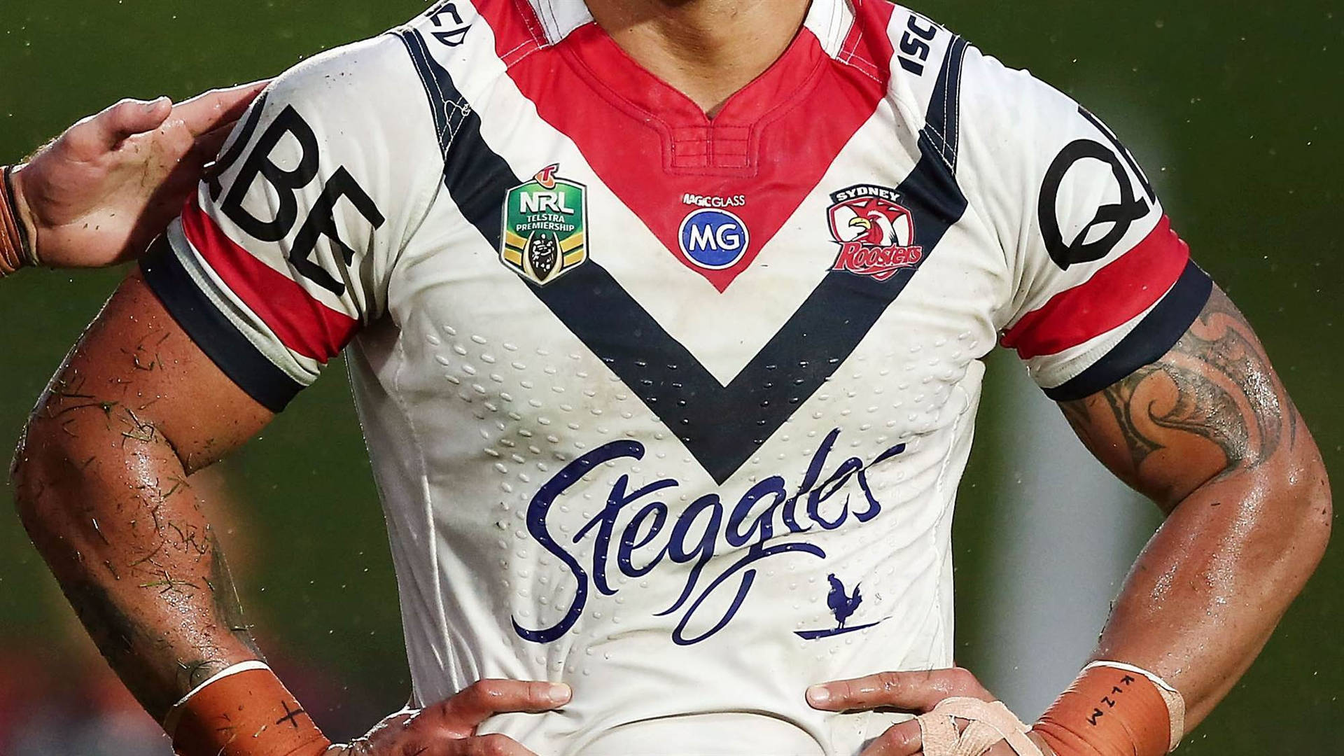 Sydney Rooster's Official Nrl Jersey Background