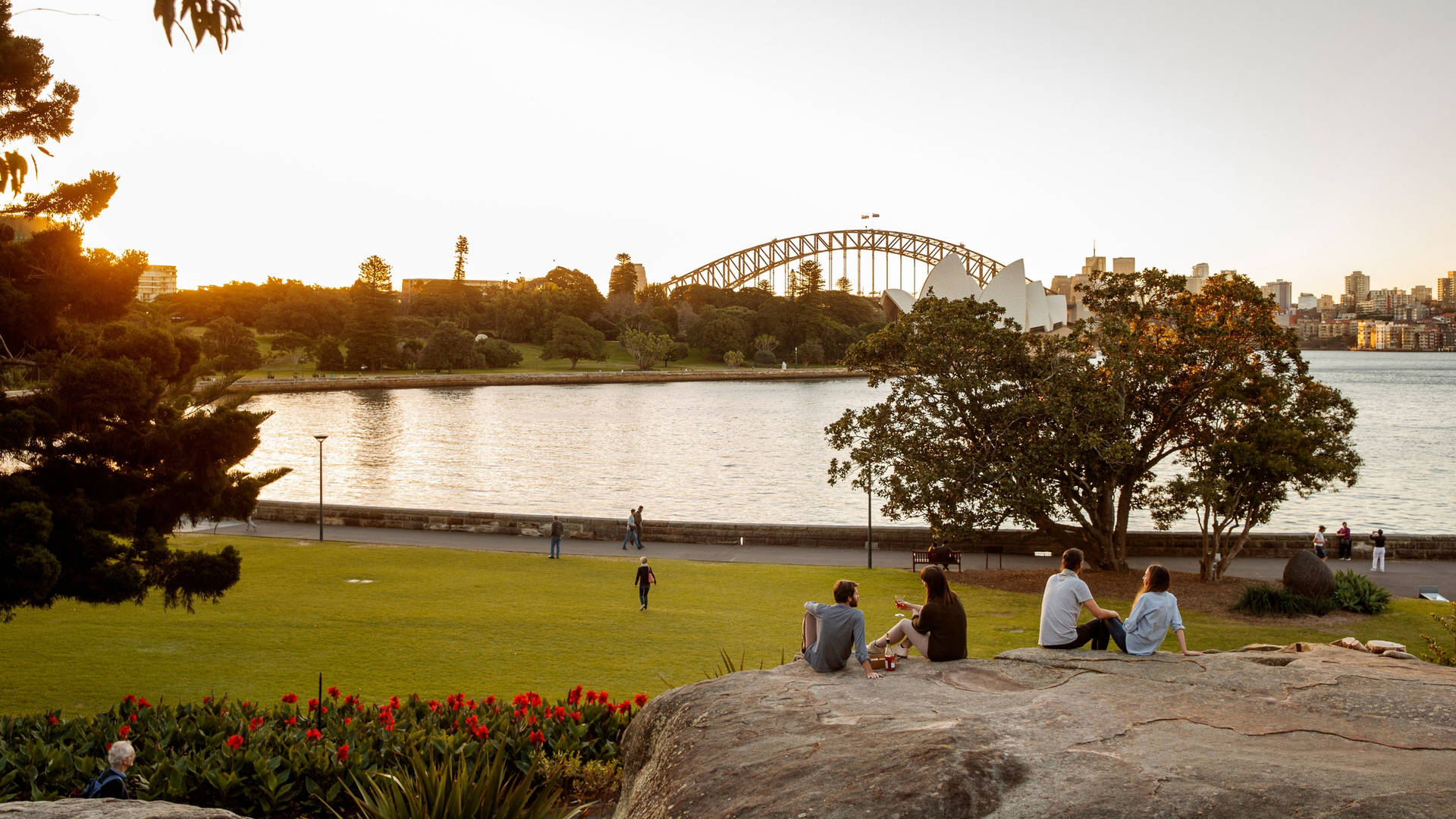 Sydney Royal Botanic Garden Background