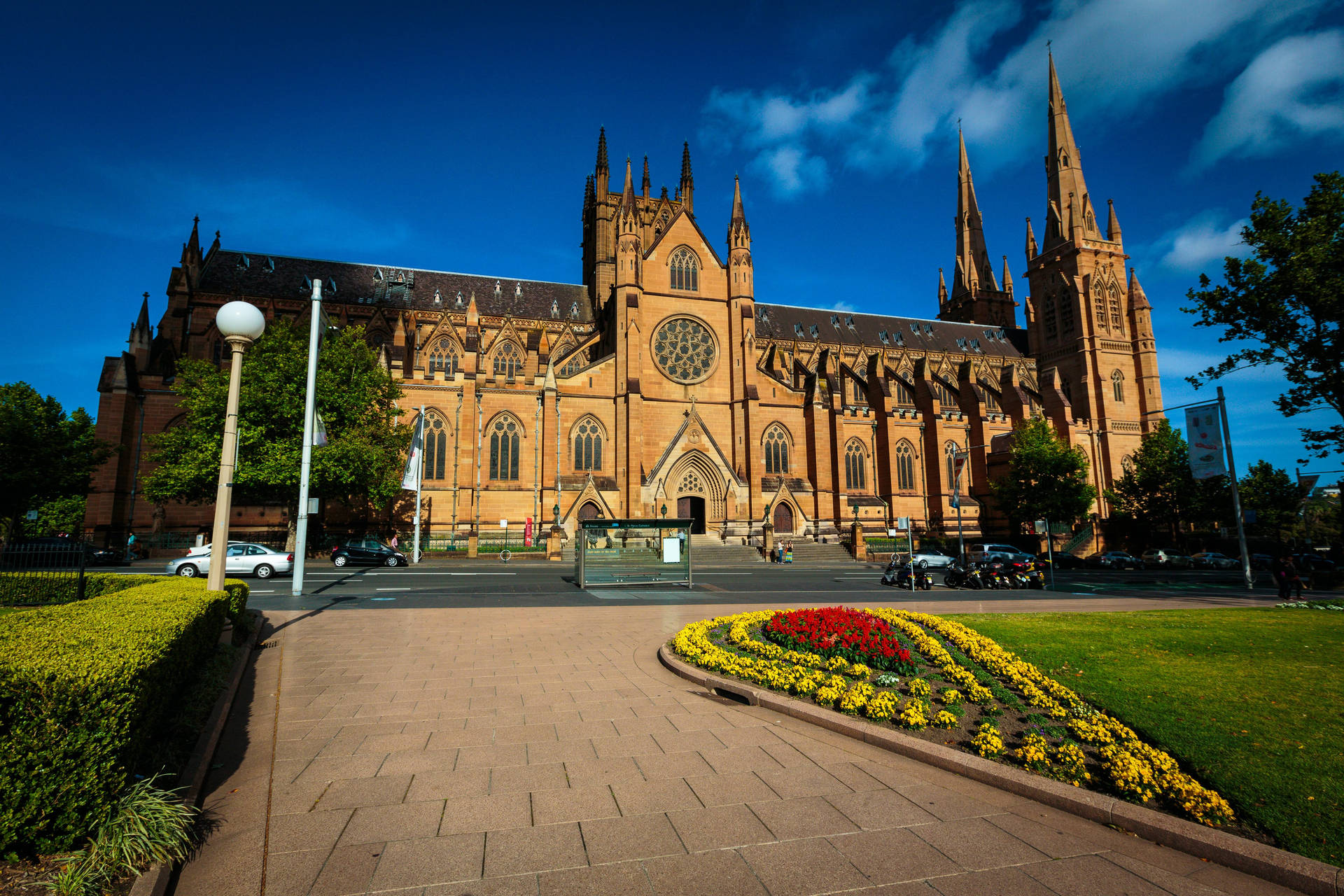 Sydney St. Mary's Cathedral Background