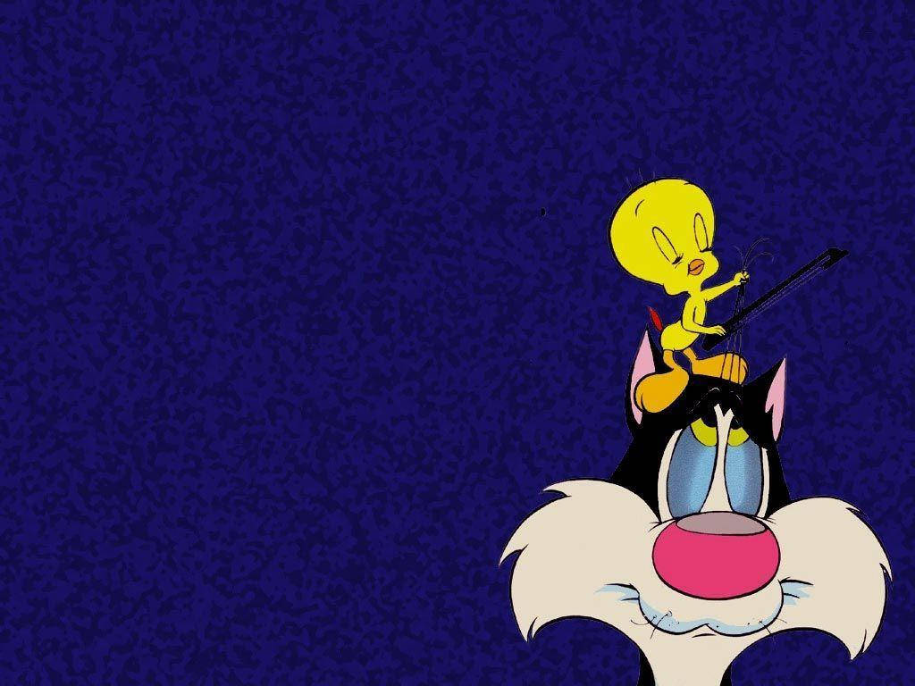 Sylvester Cat And Tweety Background