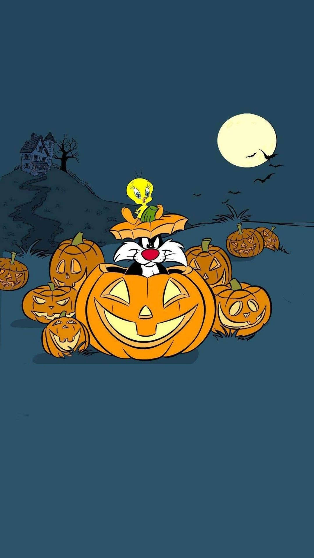 Sylvester On Pumpkin Cartoon Halloween