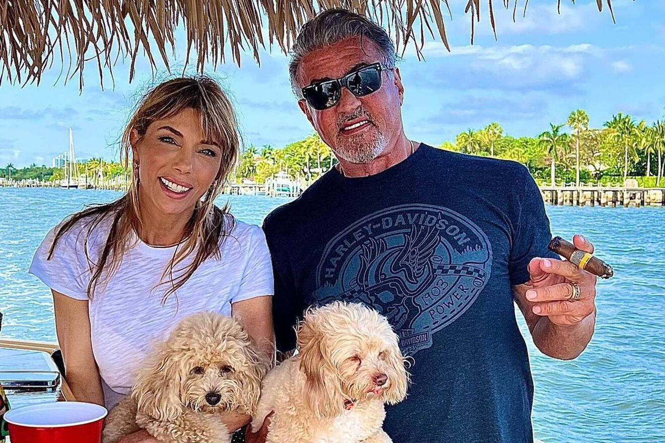 Sylvester Stallone Dogs Vacation Background