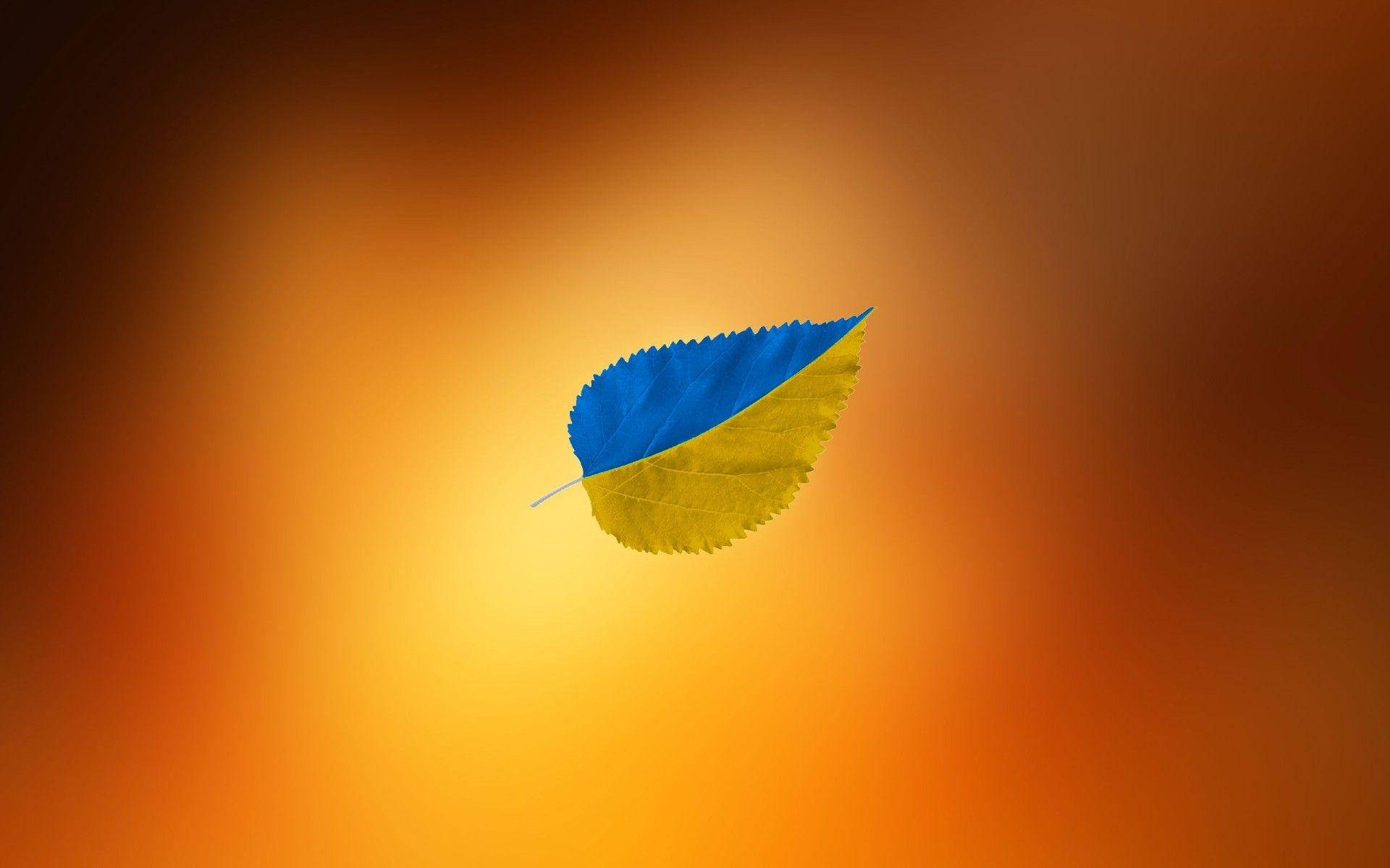 Symbolic Representation Of Ukrainian Pride - The Flag Leaf Background