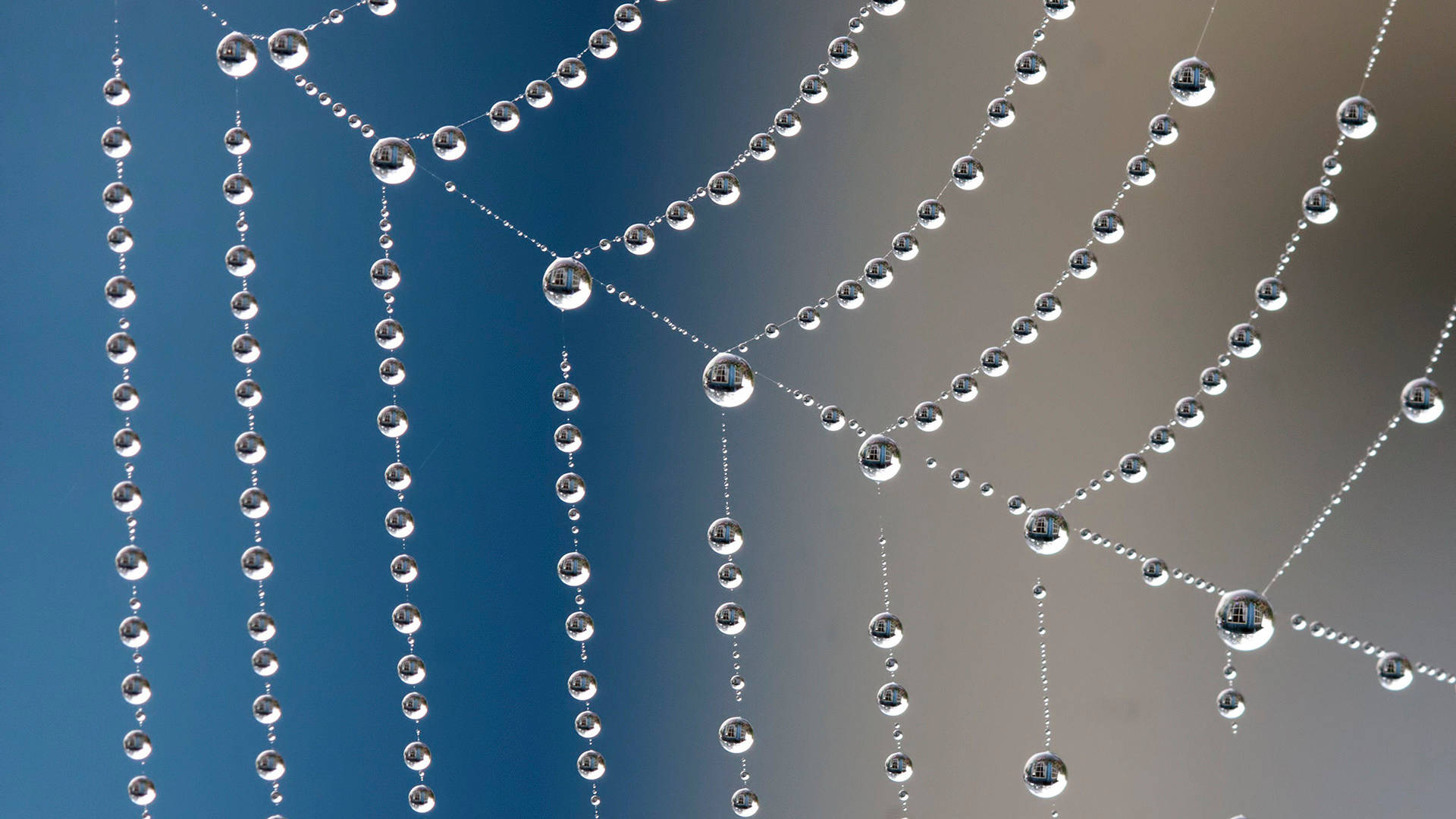 Symetrical Water Droplets Background