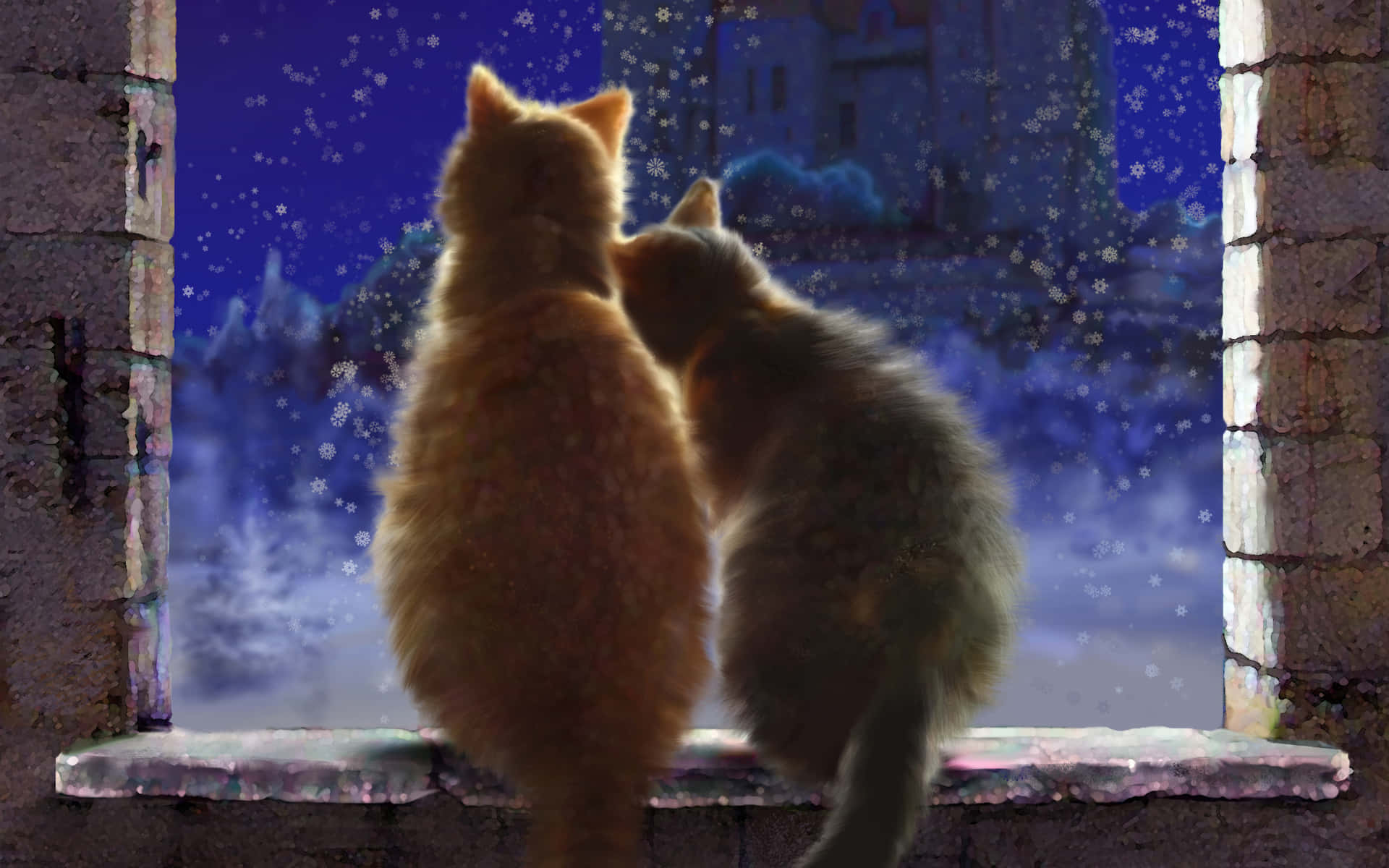 Synchronized Stare - Matching Cat Pfp Background