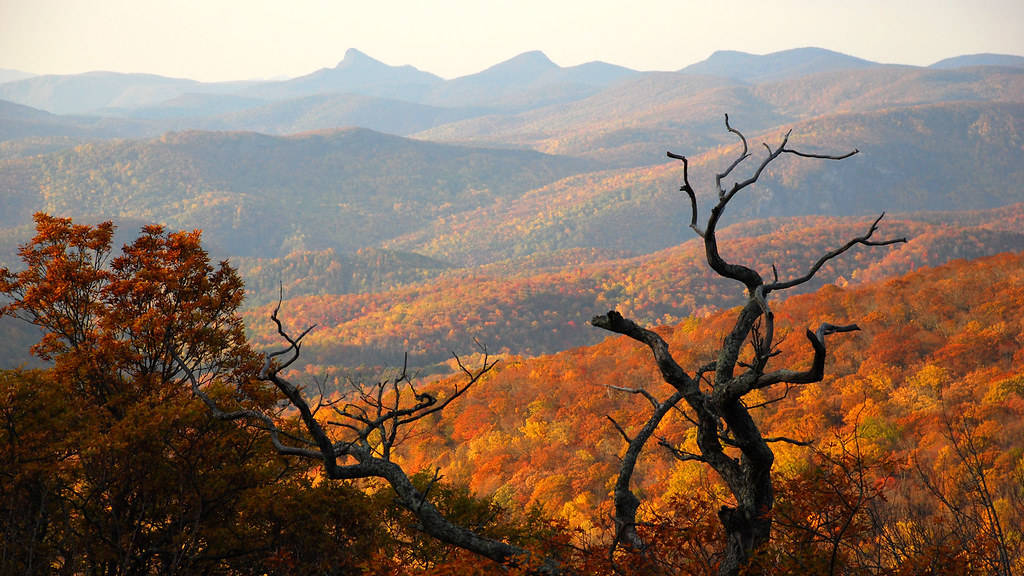 Table Rock And Hawksbill North Carolina Background