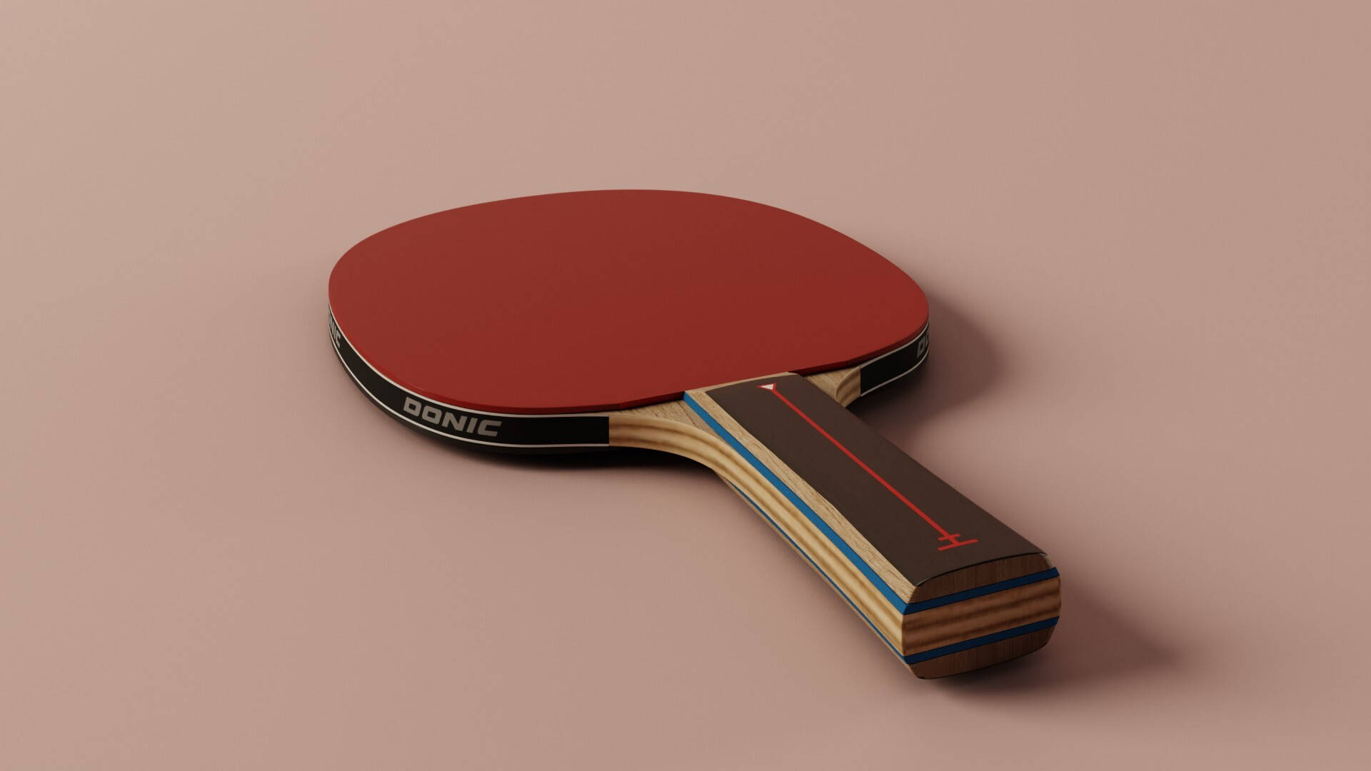 Table Tennis Paddle 3d Model Background