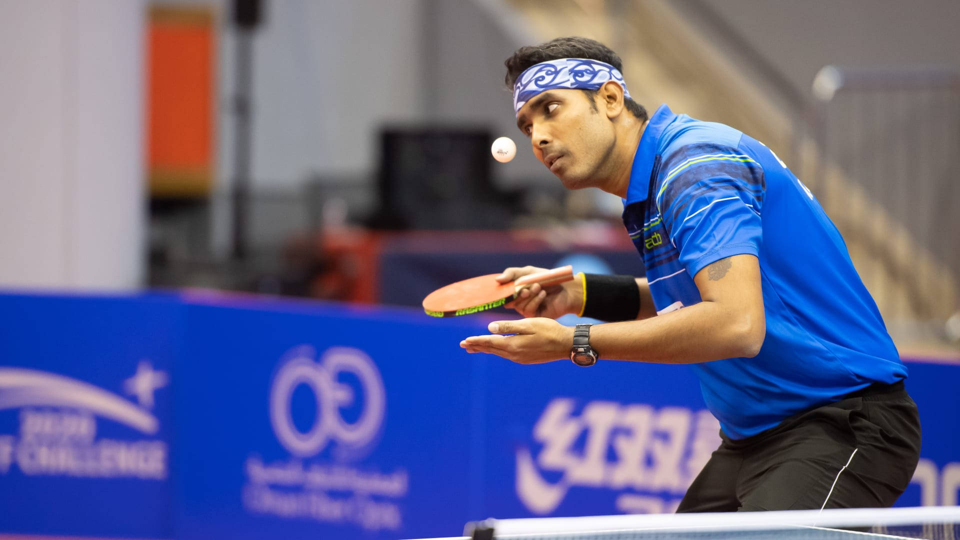 Table Tennis Professional Player Background
