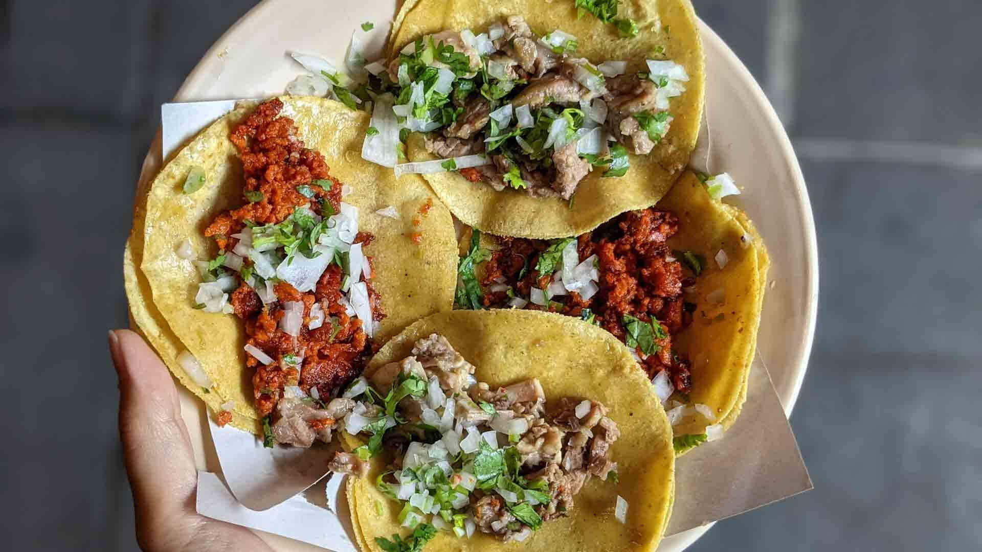 Tacos Al Pastor With Chopped Cilantro