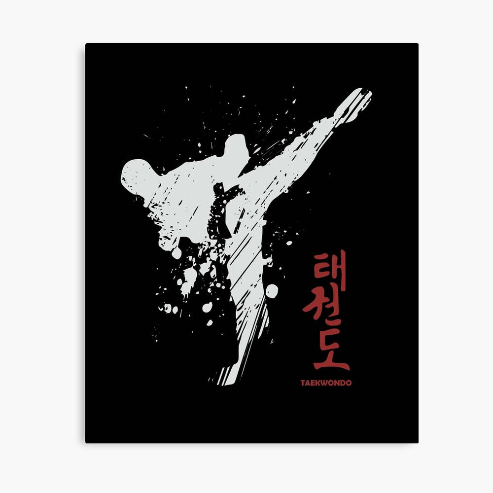 Taekwondo Sport Kick Digital Art