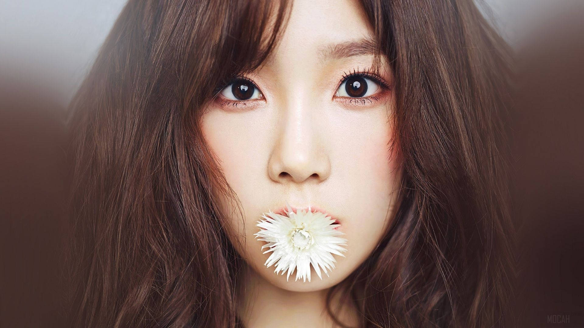Taeyeon Biting A Flower Background
