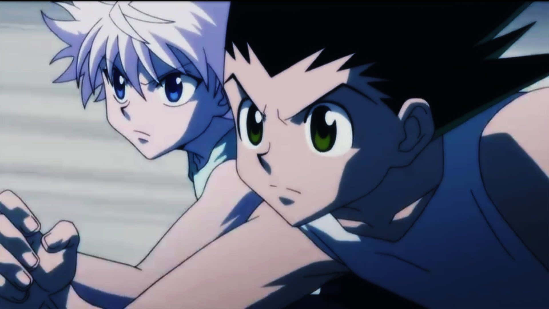 Tag Team Duel - Killua And Gon Fight Together Background