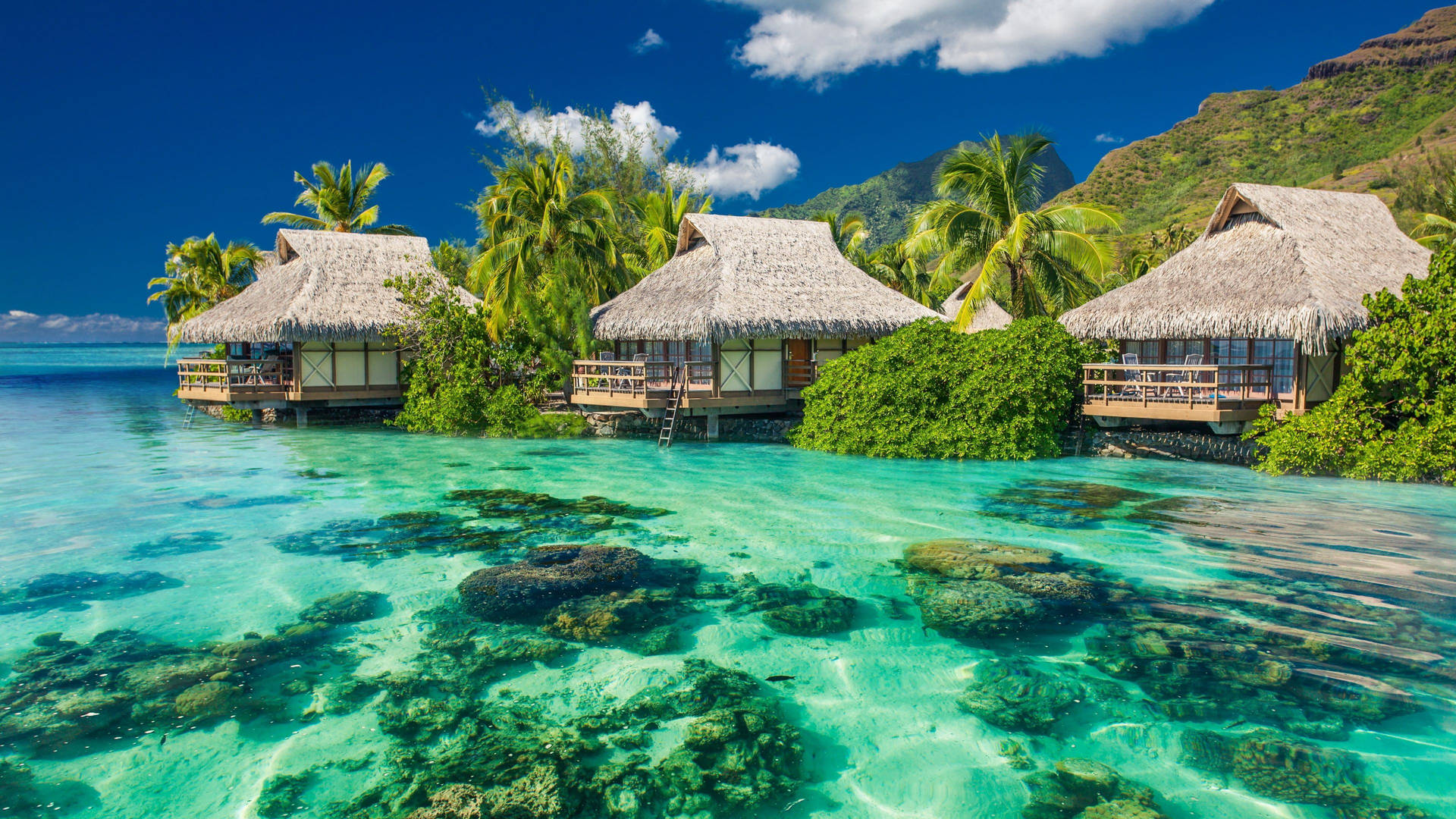 Tahiti Beach Scenes Desktop Background