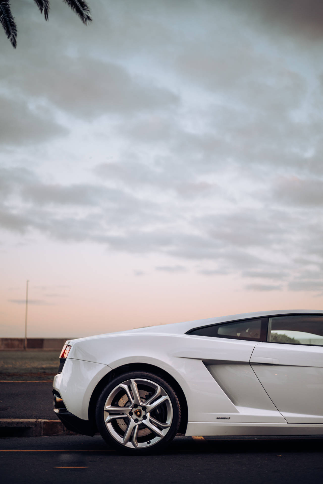 Tailend Lamborghini Galaxy Background