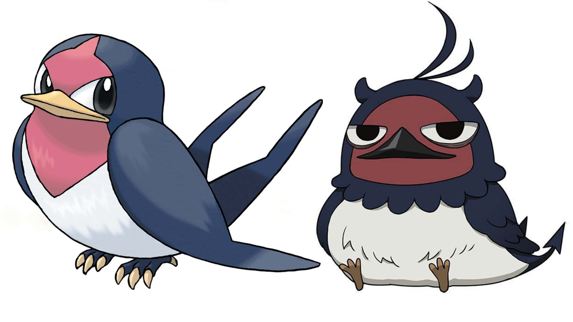 Taillow And Nero Background