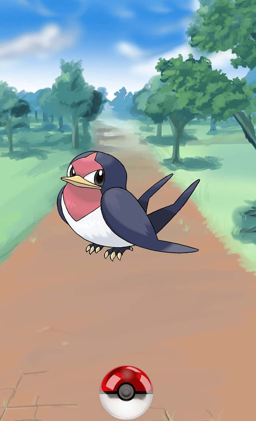 Taillow And Pokemon Ball Background
