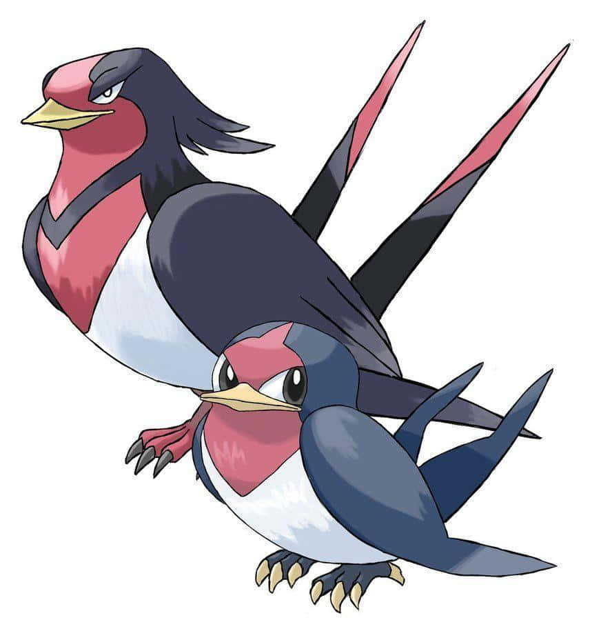 Taillow And Swellow Side-eyeing Background