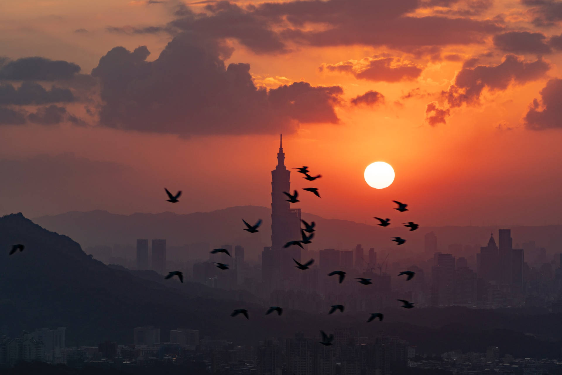 Taipei Sunset And Birds