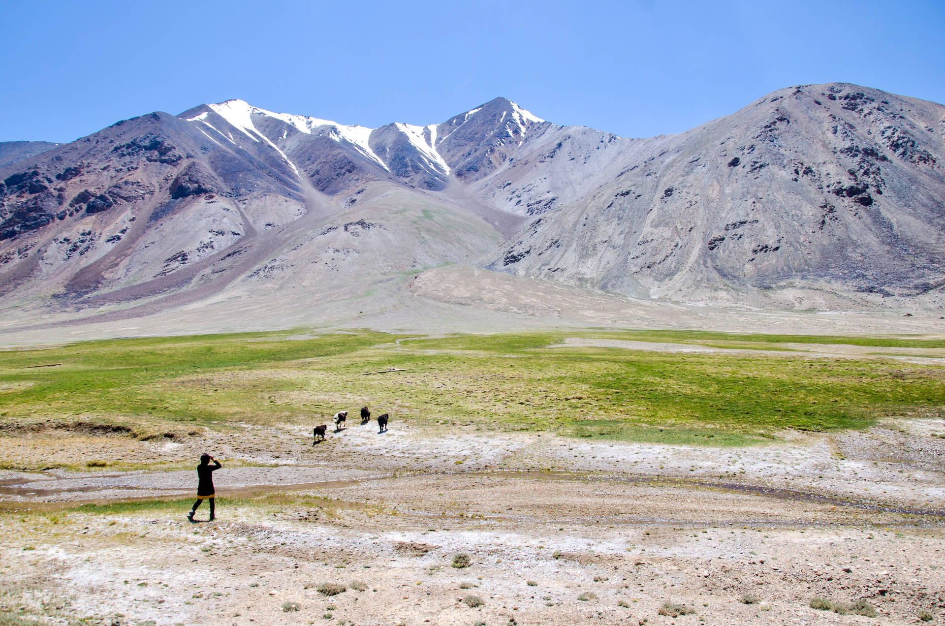 Tajikistan Pamir Mountains Shepherd Background