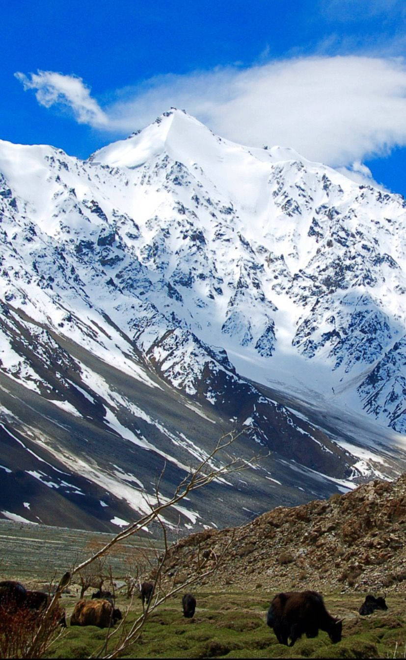 Tajikistan Snowy Mountain Background