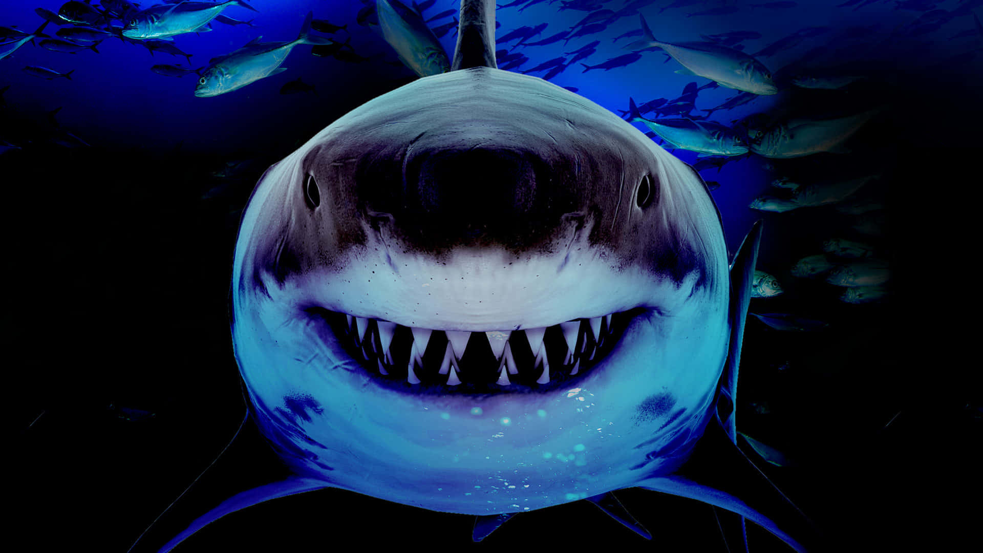 Take A Bite Out Of Fear With This Scary Shark Image Background