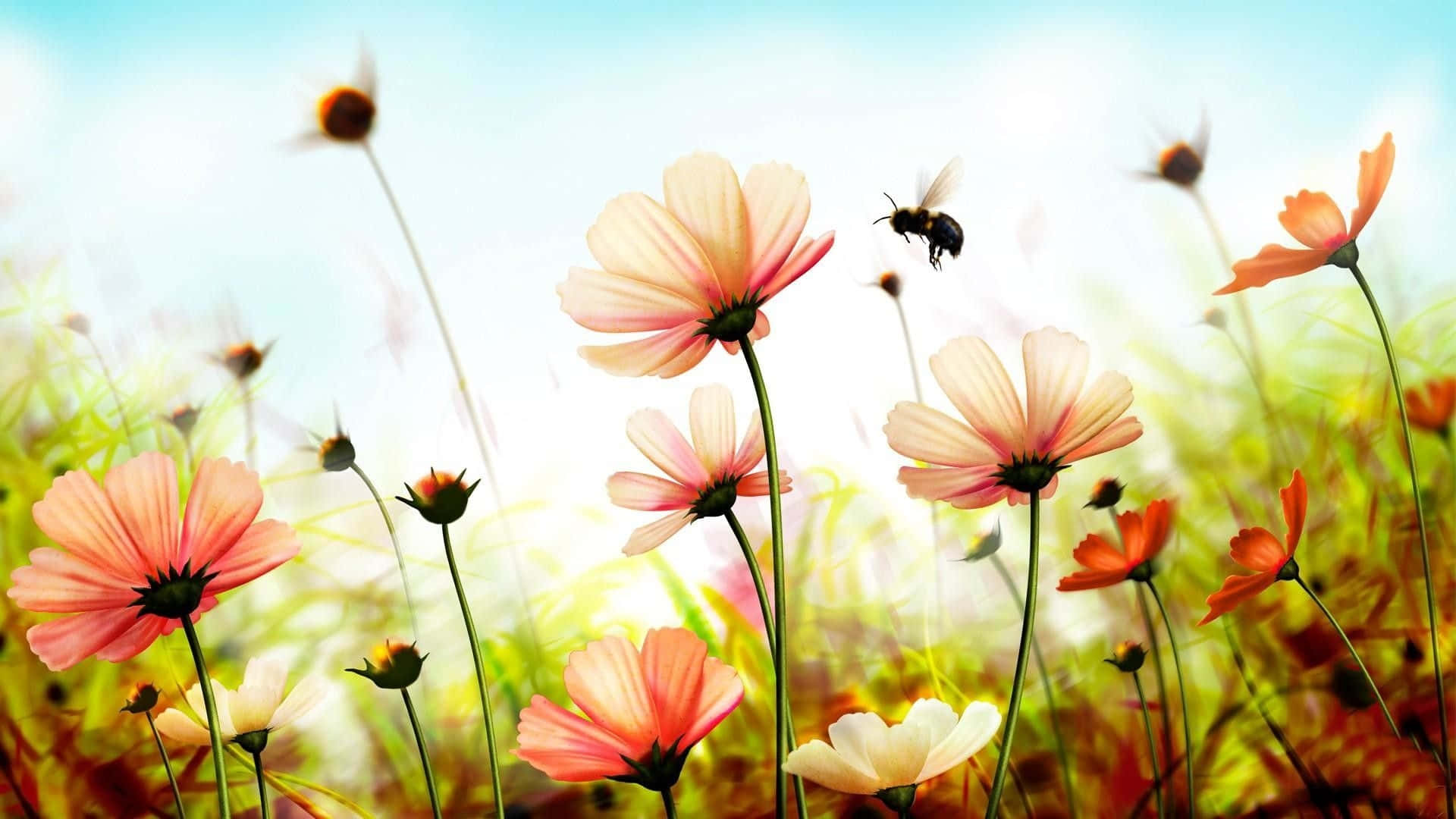 Take A Break And Enjoy The Summer With This Cute Desktop Wallpaper!