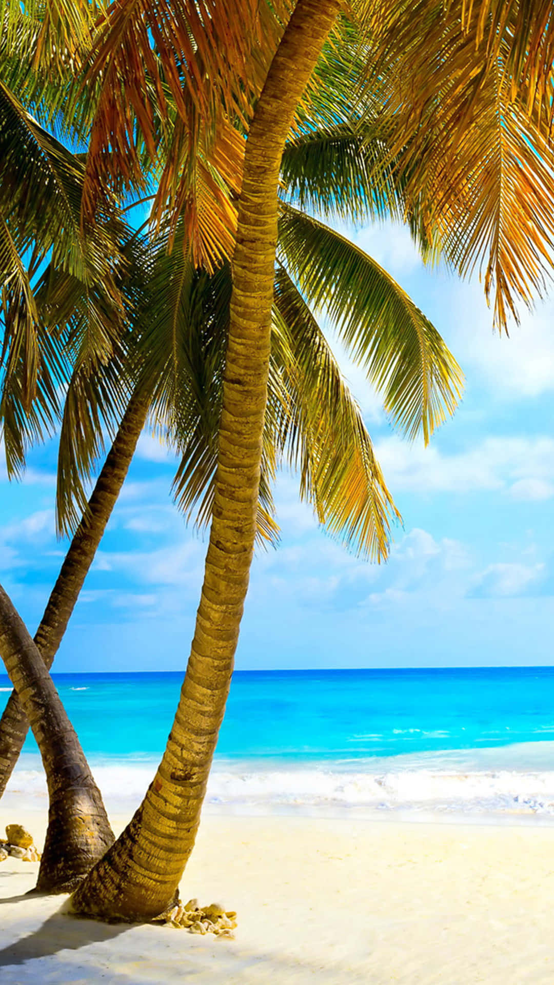 Take A Break And Relax By The Ocean!