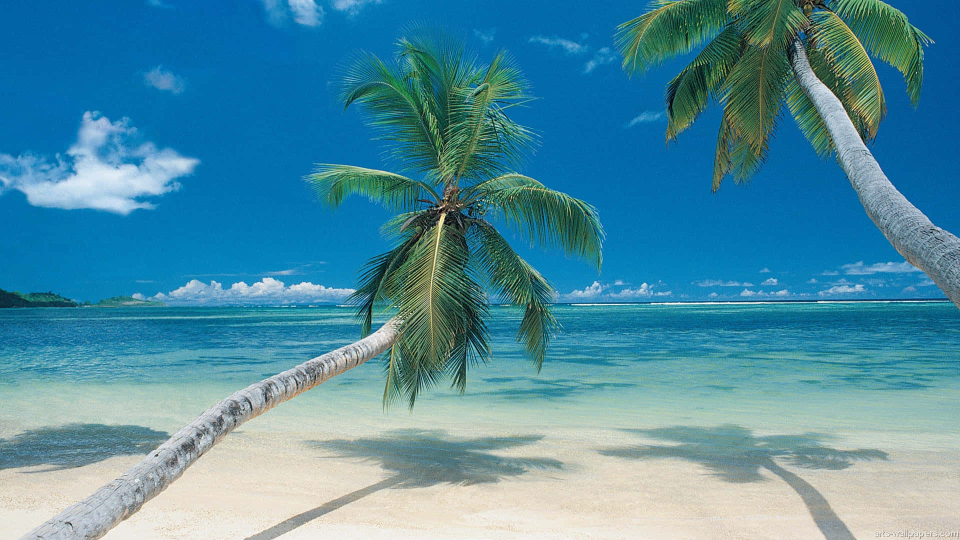 Take A Break From Reality And Escape To This Peaceful Tropical Beach.