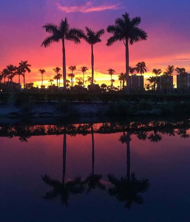 Take A Break From The Sun In The Coolest Retro Miami Spot. Background