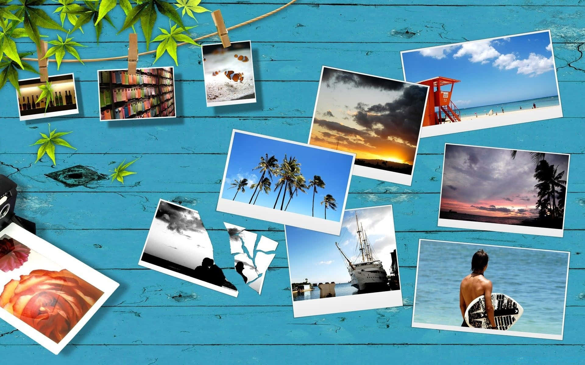Take A Break In Paradise Background