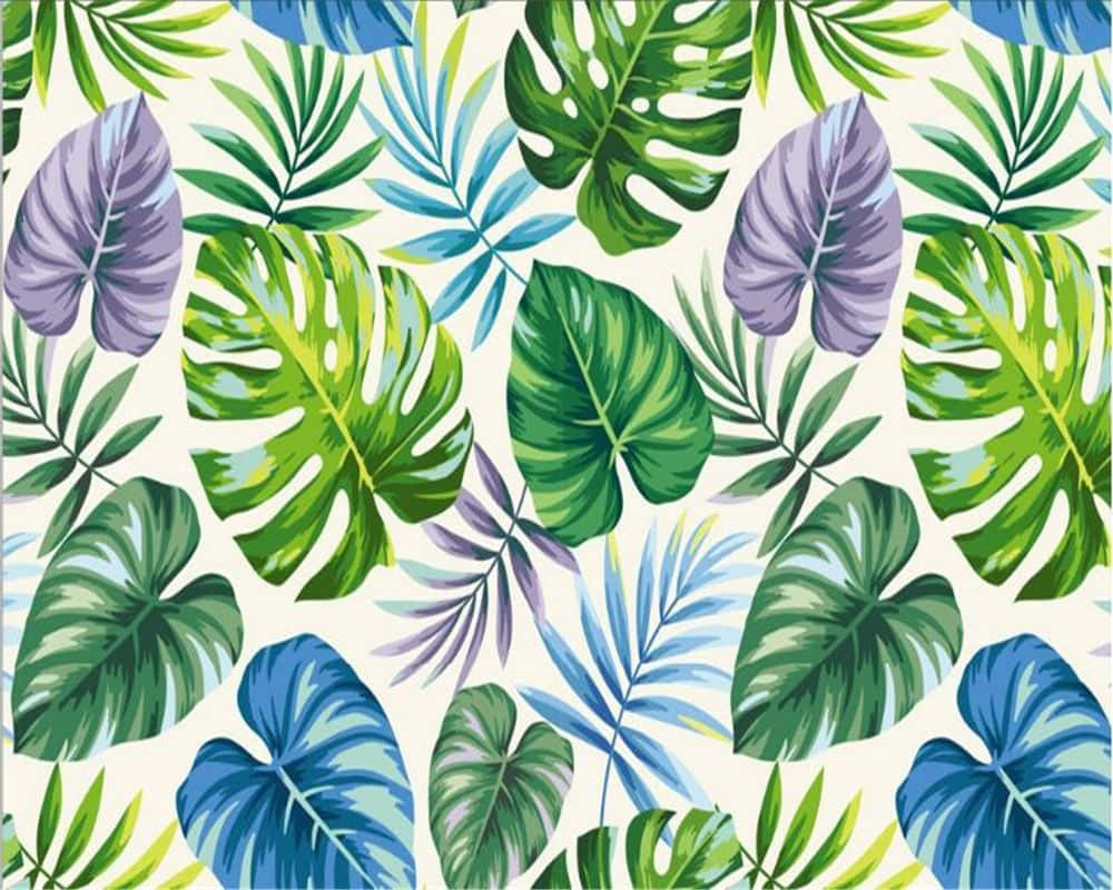 Take A Dip In This Tropical Aesthetic Background