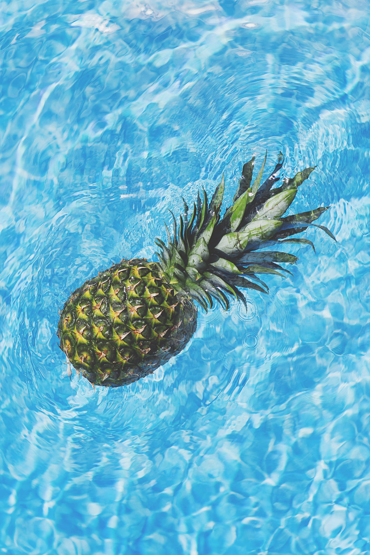 Take A Dip Into Pineapple Country Background