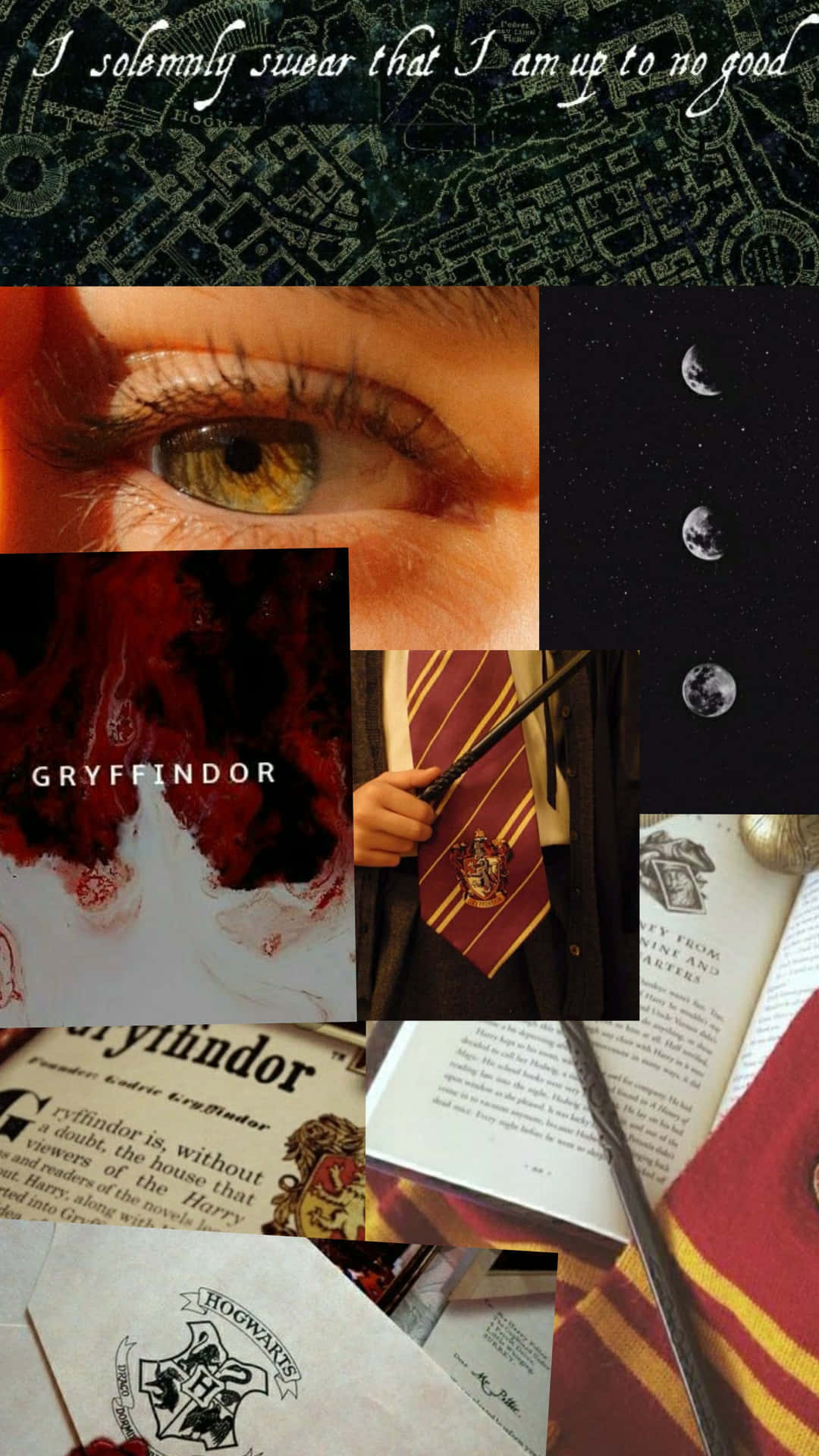 Take A Journey With Gryffindor Aesthetic