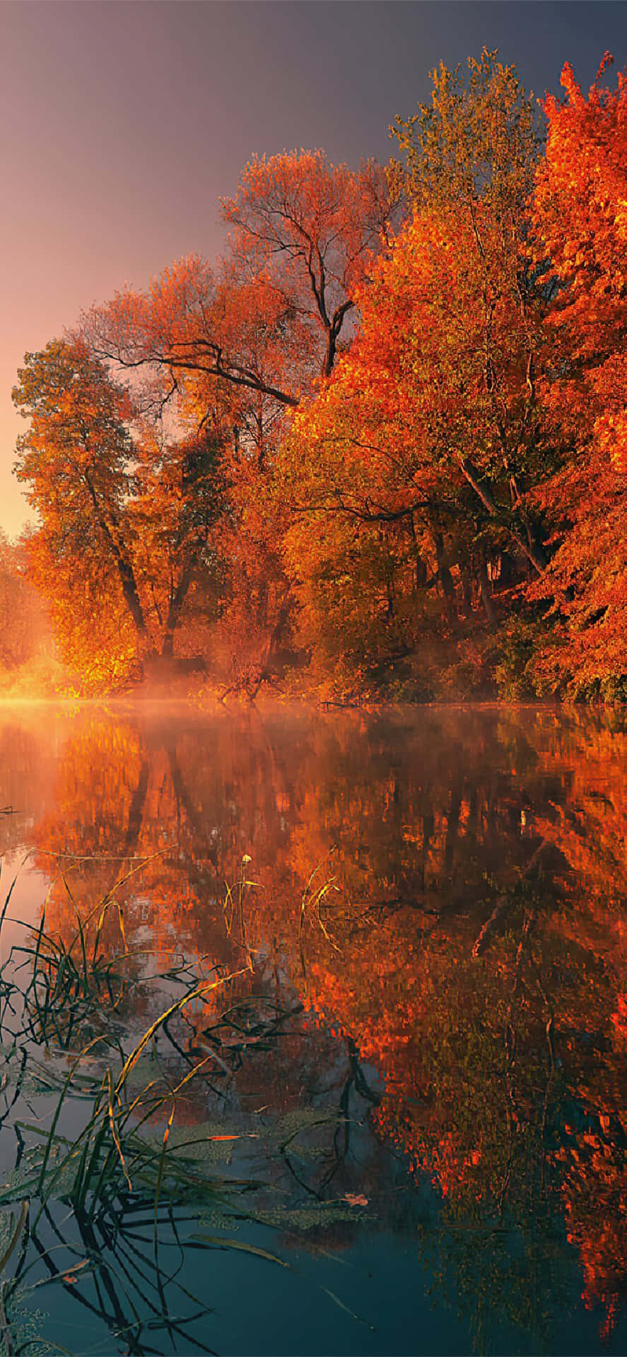 Take A Leisurely Stroll Through The Stunning Landscape Of This 4k Fall Foliage. Background
