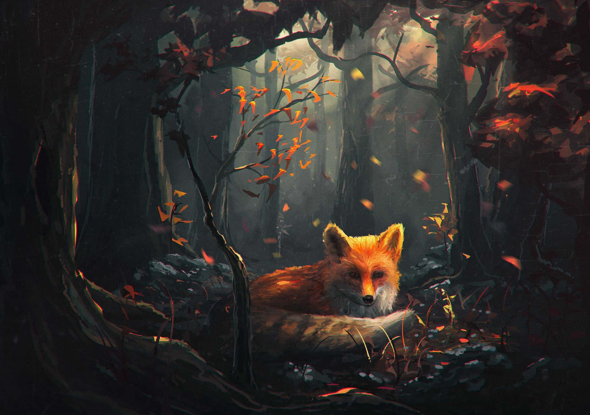 Take A Look At This Amazing Cool Anime Fox! Background