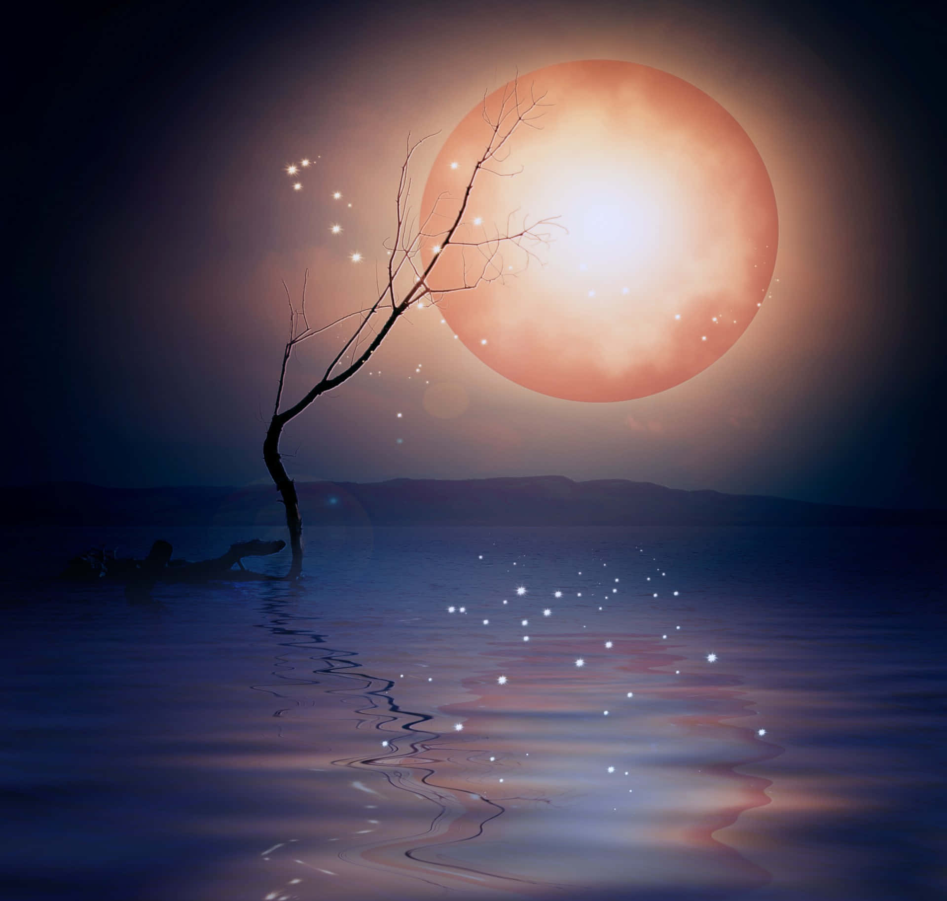 Take A Magical Trip Through The Night Sky Background