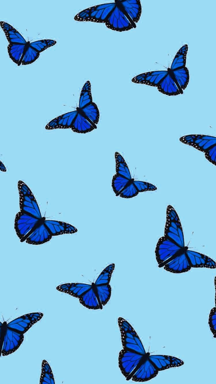 Take A Moment To Appreciate Nature's Beauty Background
