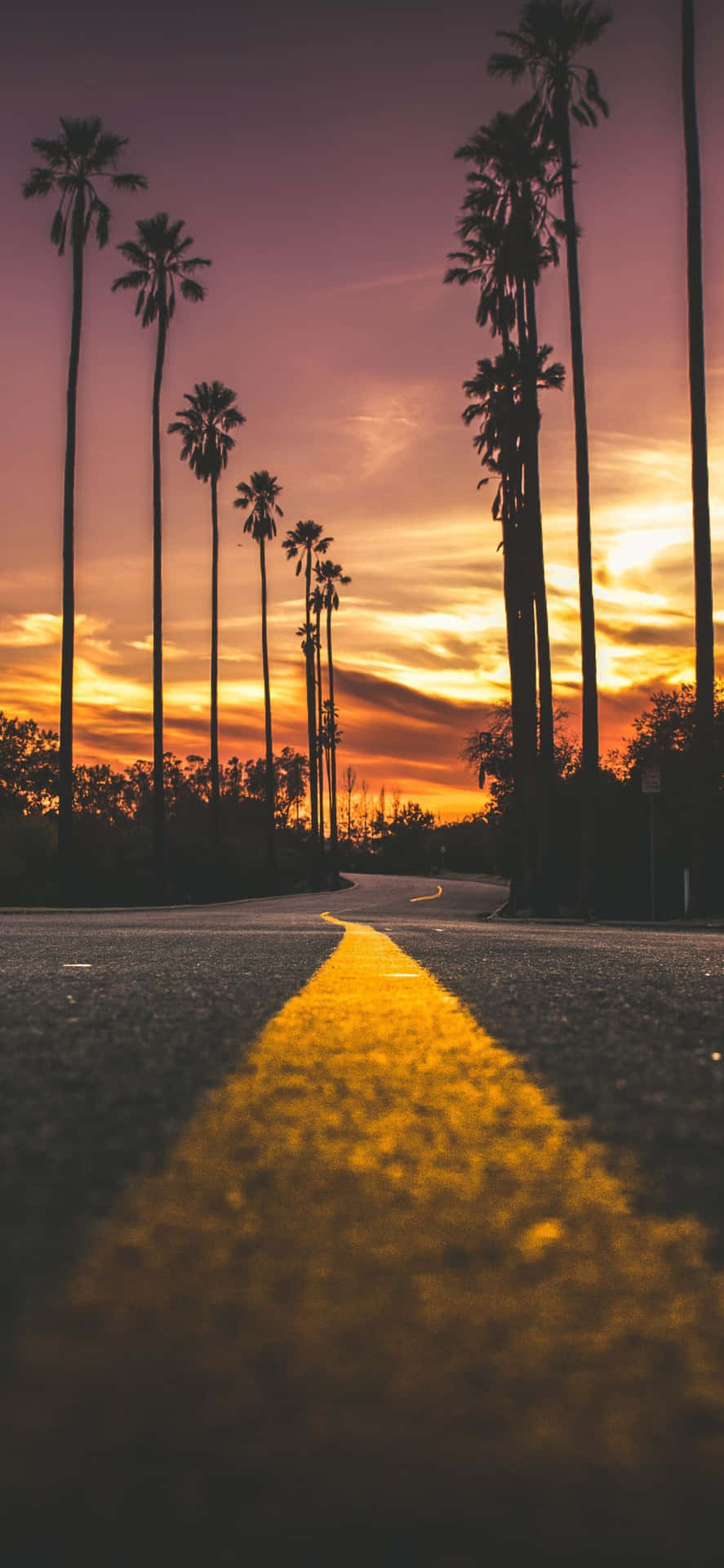 Take A Moment To Enjoy The Beauty Of A Peaceful Sunset Background